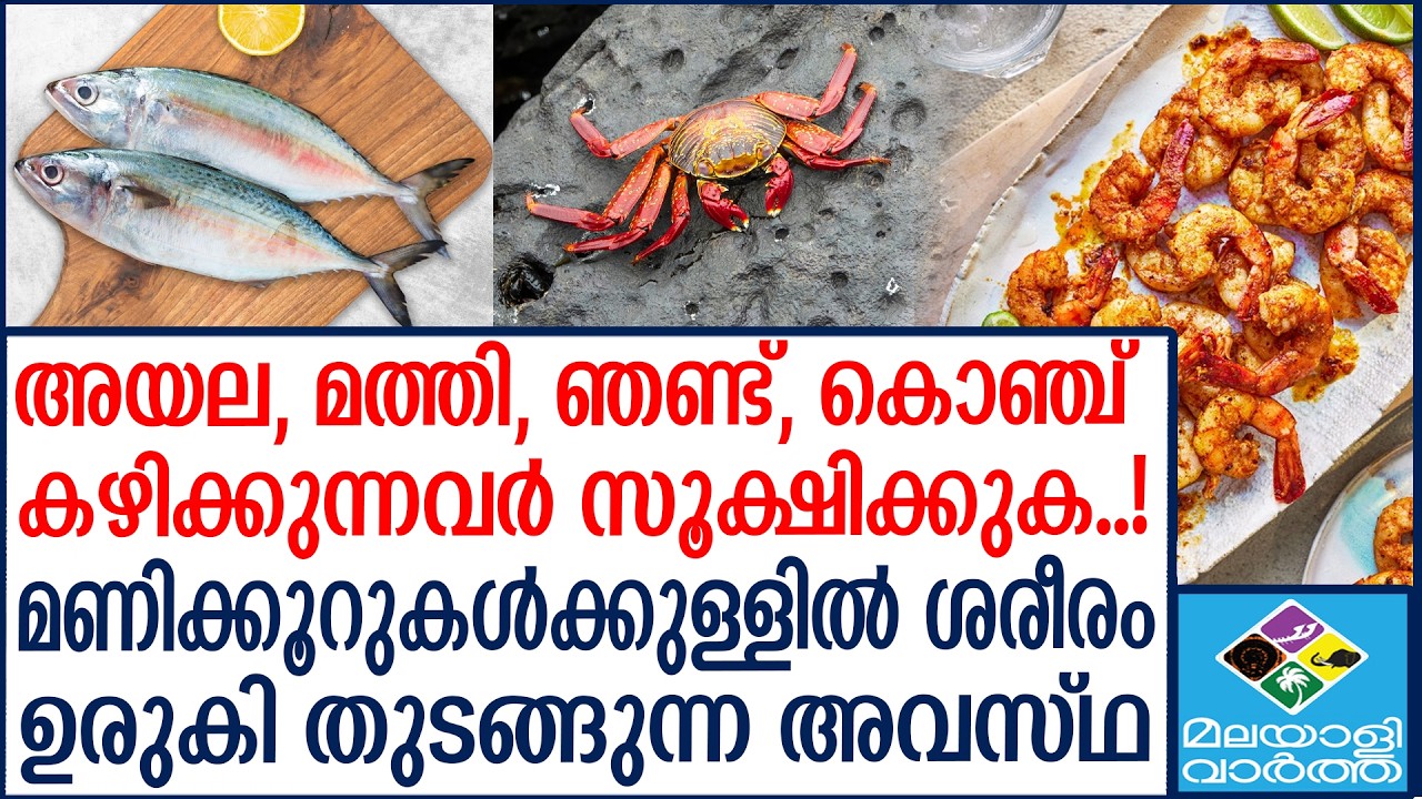 SEA FOOD ഭക്ഷണ കൊതിയന്മാർ സൂക്ഷിക്കുക  | Malayalivartha