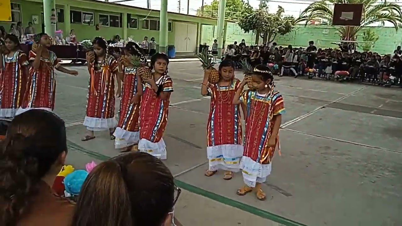 flor de piña escuela primaria libertadores de américa de santa cruz Atizapán