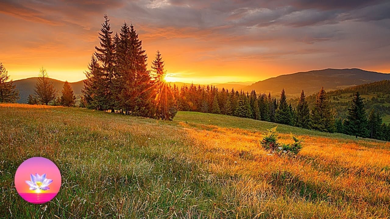 🍂🍁Warm Autumn Ambience Music, 3 Hours Relaxing Fall Sunset Soundscape, Calming Fall Meditation🍁🍂