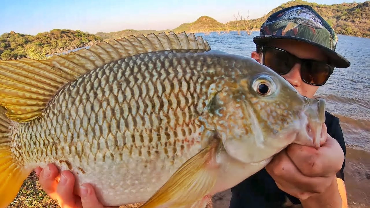 Awesome Afternoon of Tilapia (Bream/Kurper) Fishing