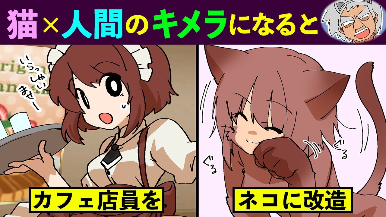 【漫画】ネコと人間のキメラになるとどうなるのか？【マンガ動画】