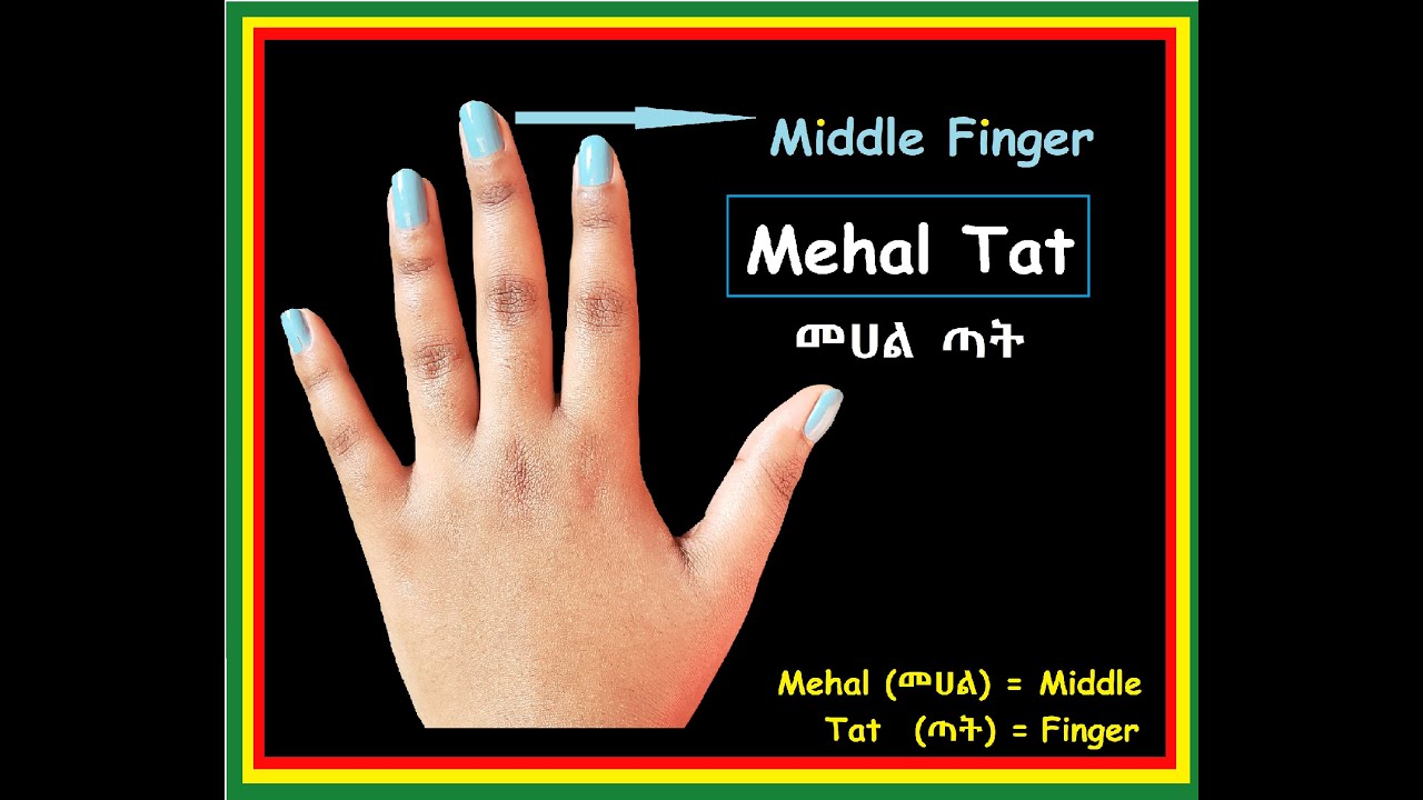 Amharic: Finger Names in Amharic Language