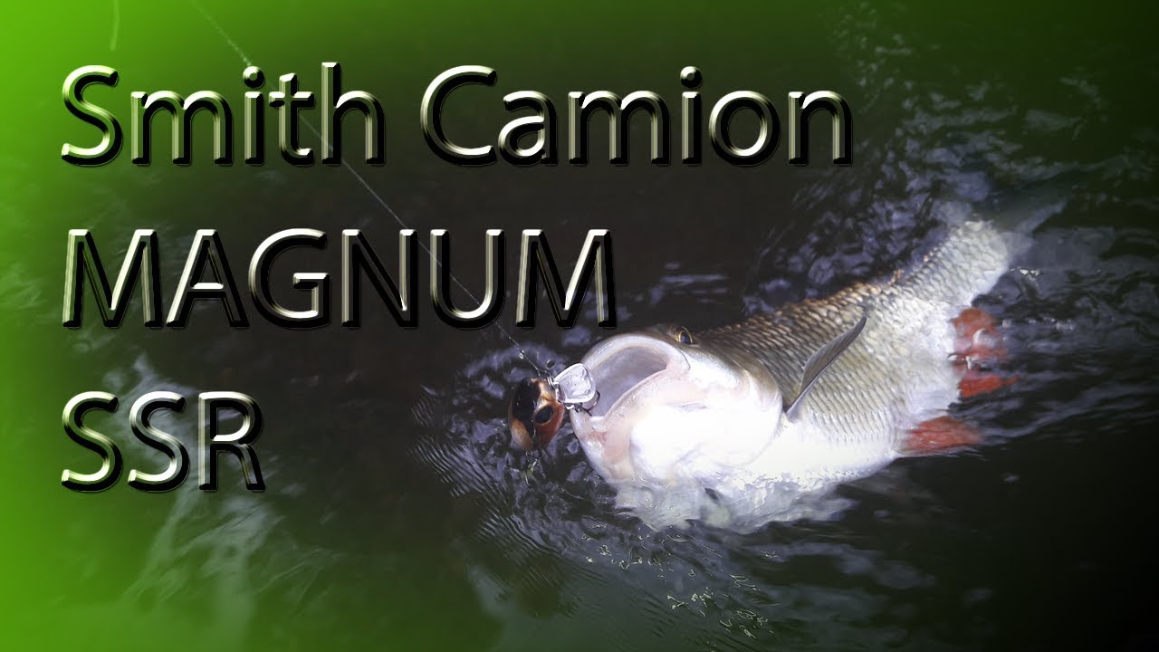 Голавль, способ проводки - апстрим. | Smith Camion MAGNUM SSR