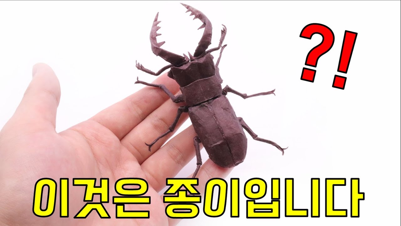 이게 가능해?? 톱사슴벌레 한장 종이접기