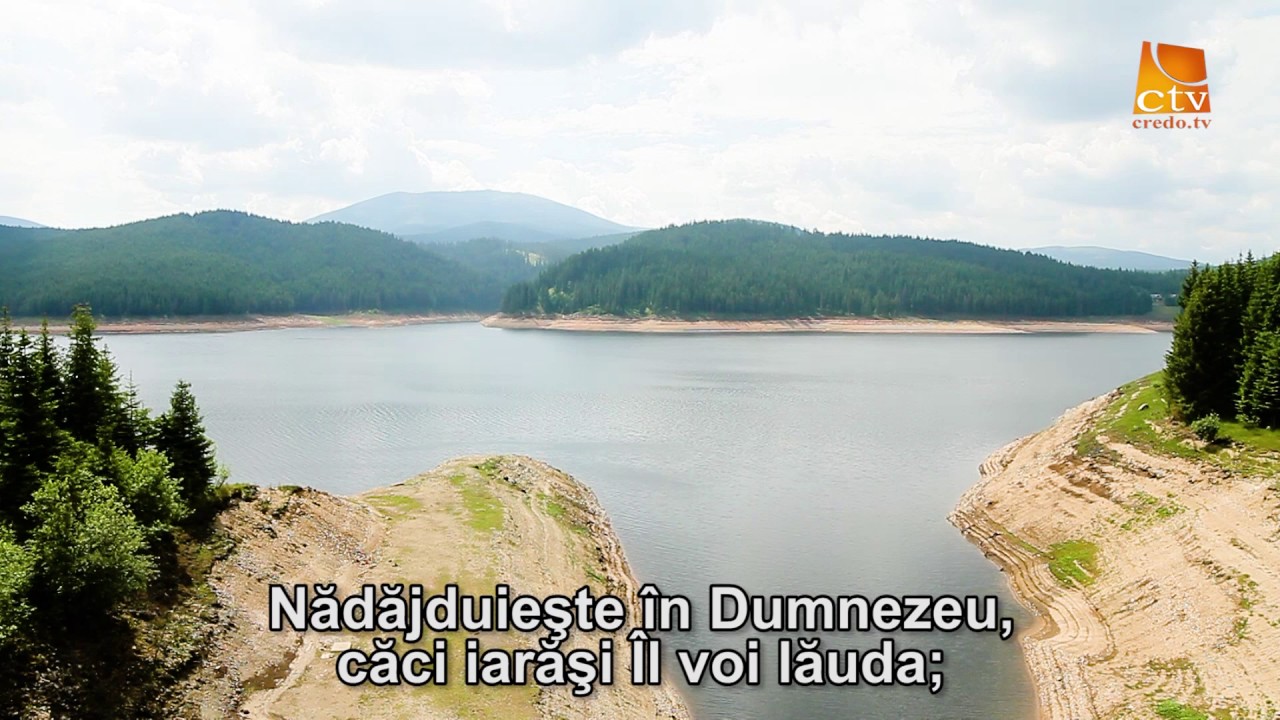 Psalmul  42