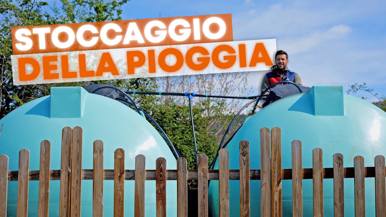 Come RECUPERARE l'ACQUA piovana #TerraTerra