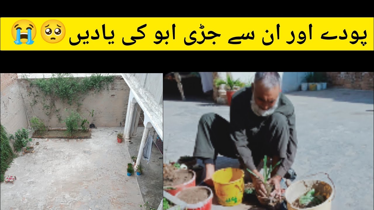 Restaurant Wali Mitti Ki Handi Se Beautiful Plant Pot 🌿 | DIY Garden Decor | Ami Abu Ka Ghar Project