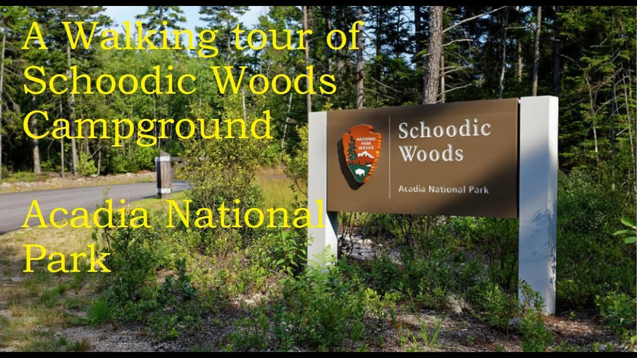 Schoodic Woods Campground at Acadia National Park