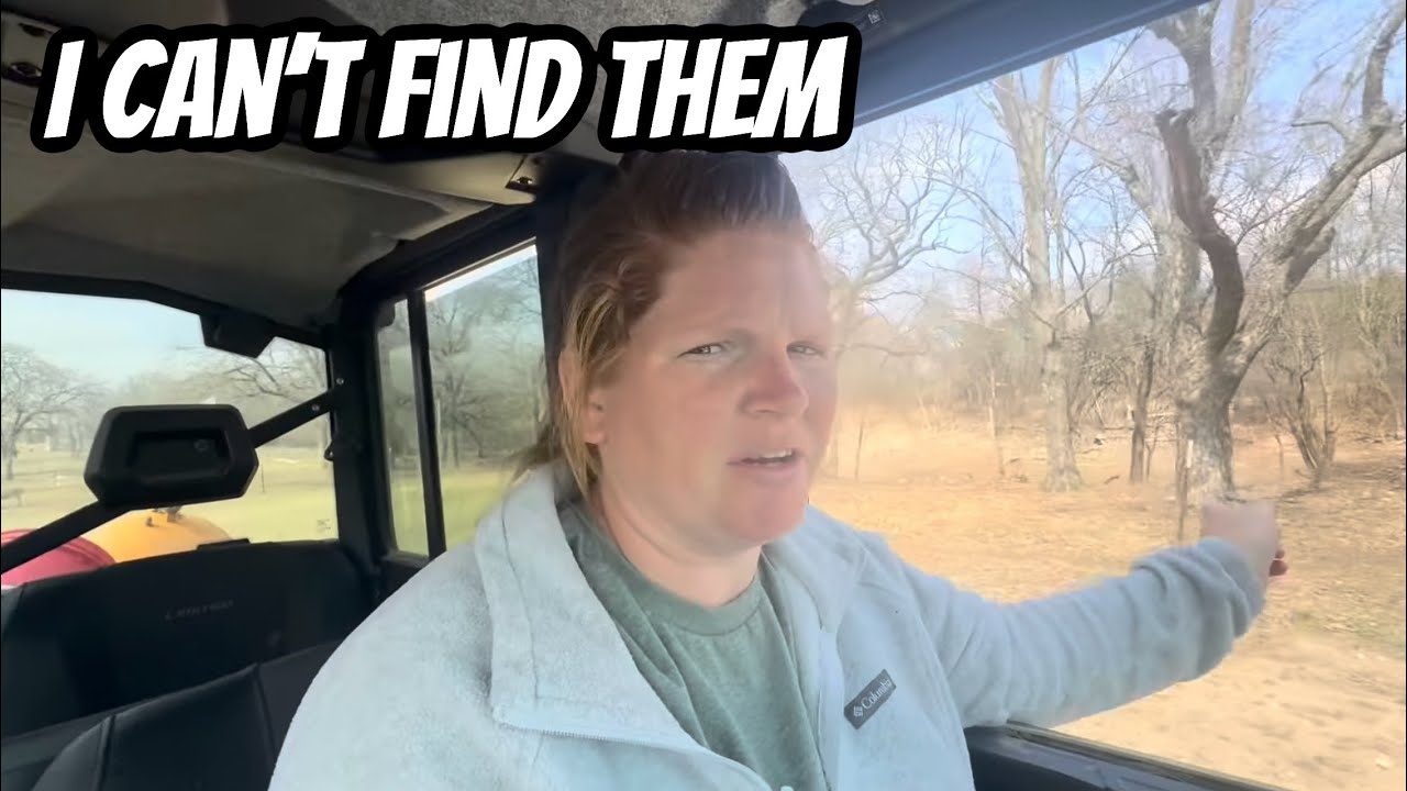 Where Did They All Go? / Pennywise Had Her Baby
