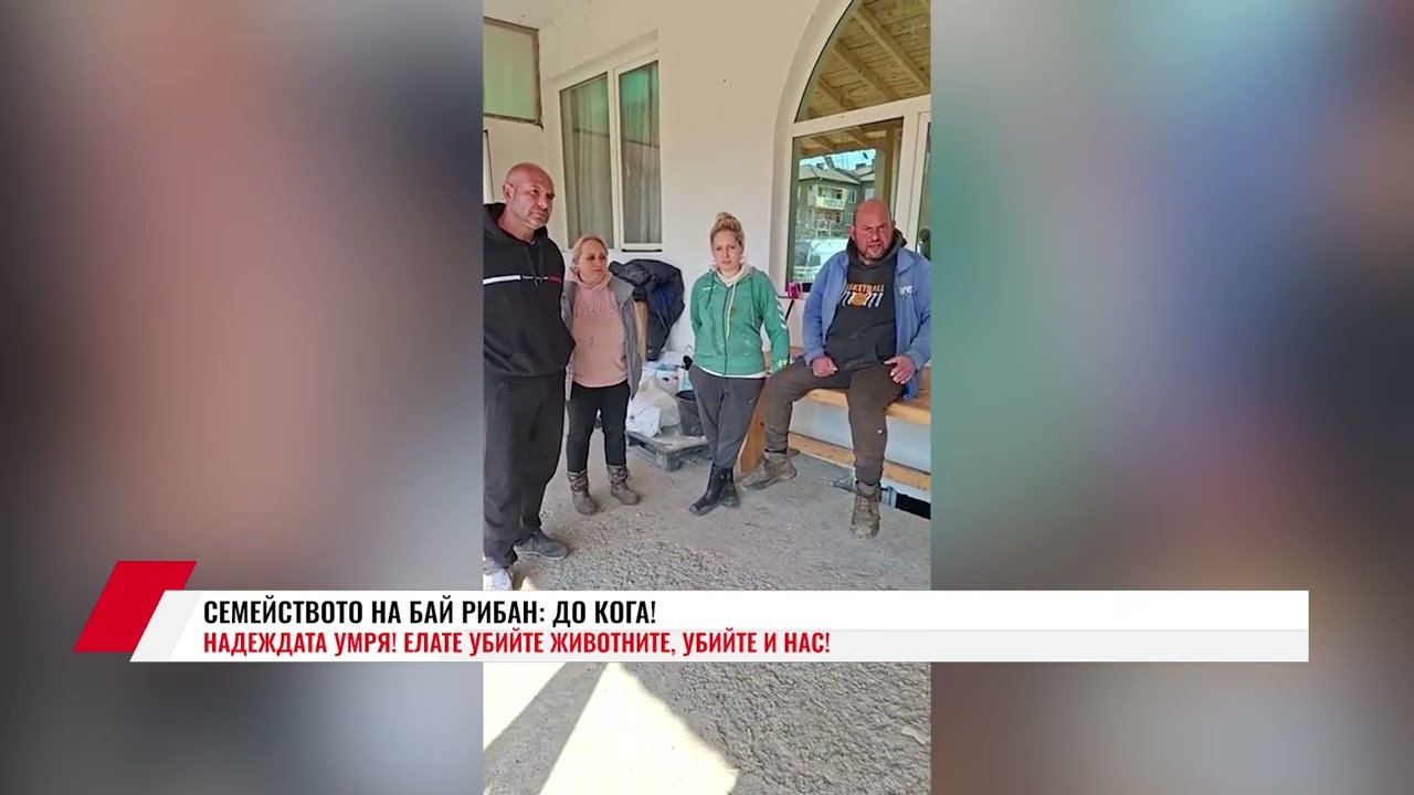 СЕМЕЙСТВОТО НА БАЙ РИБАН: ДО КОГА! НАДЕЖДАТА УМРЯ! ЕЛАТЕ УБИЙТЕ ЖИВОТНИТЕ, УБИЙТЕ И НАС!