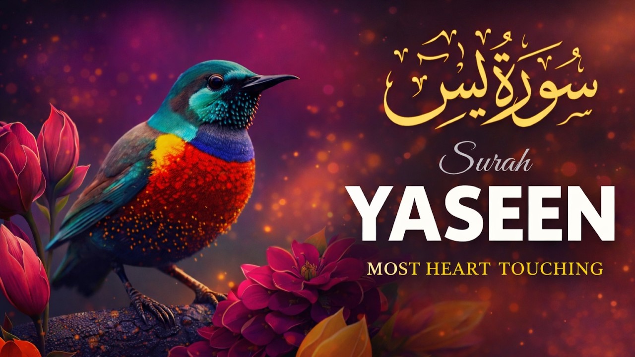 Surah Yaseen Full | Beautiful Heart Touching Recitation | سورة يس | Quran Tilawat