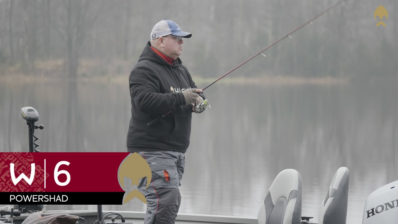 W6 PowerShad - Westin-Fishing