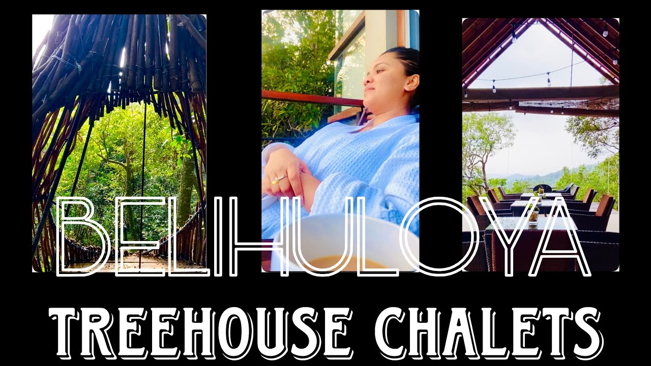 TreeHouse Chalets-Belihuloya#fyp#travel#trending#ytshorts#viral#ytshorts#shortfeed#love#how#calm#yt