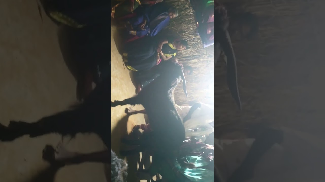 Nunala Yarrayya gollasaduvu