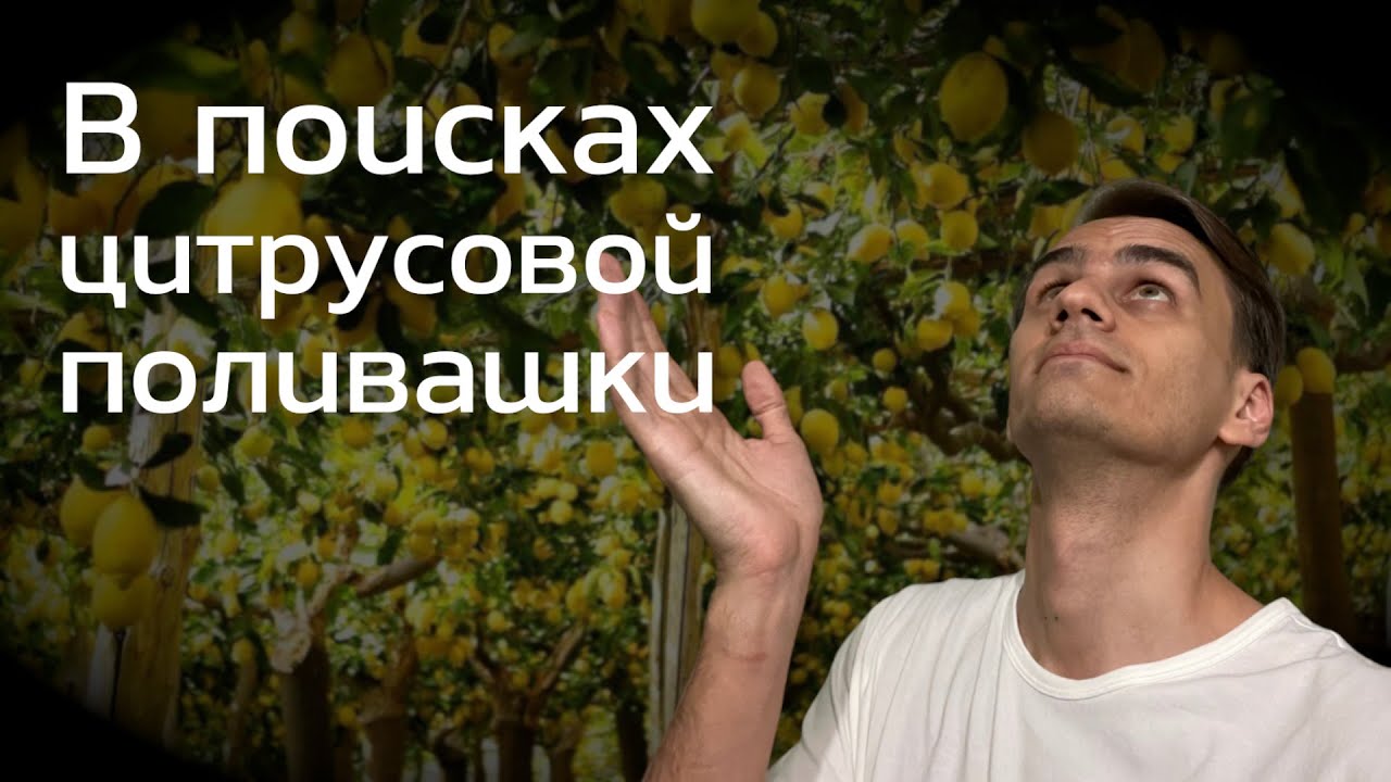 Обнаружил отсутствие цитрусовой парфюмерии на полке и решил это исправить
