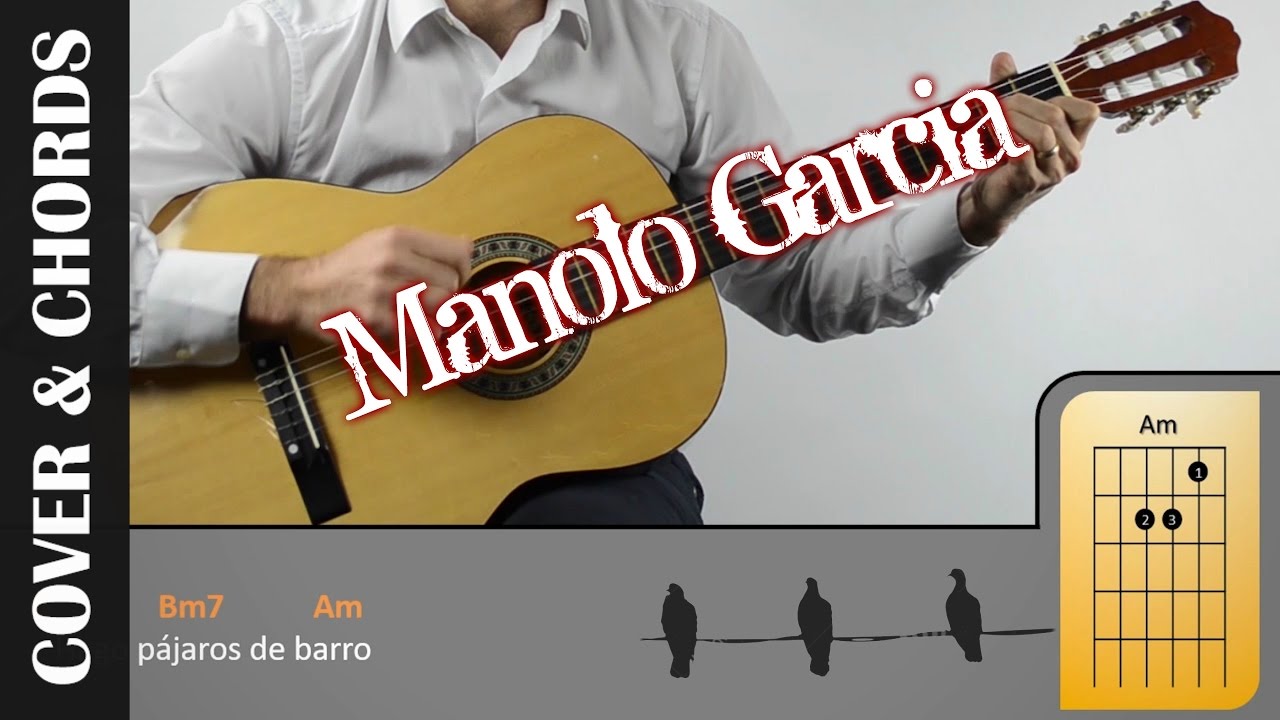 PAJAROS DE BARRO I COVER Acordes PDF GRATIS I GUITARRA FACIL I El último de la fila
