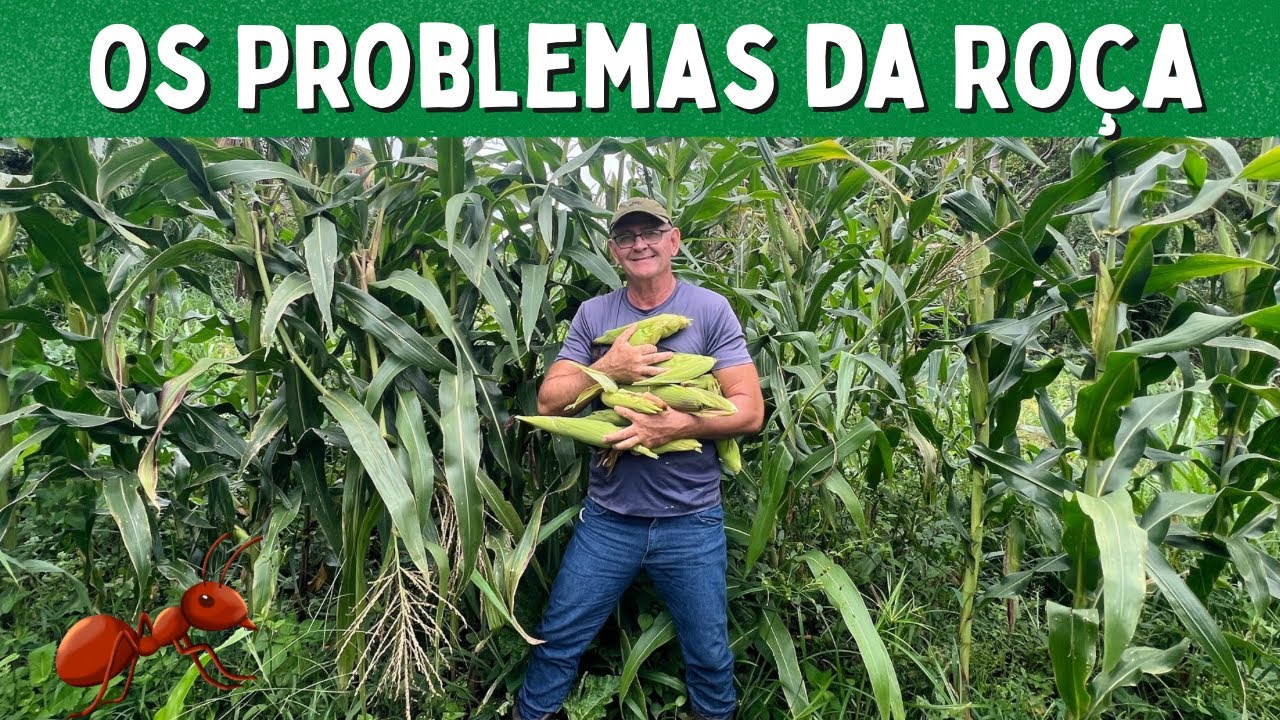 O SEGREDO É NUNCA DESISTIR💪🏡😅🌴/Bora pra Roça?