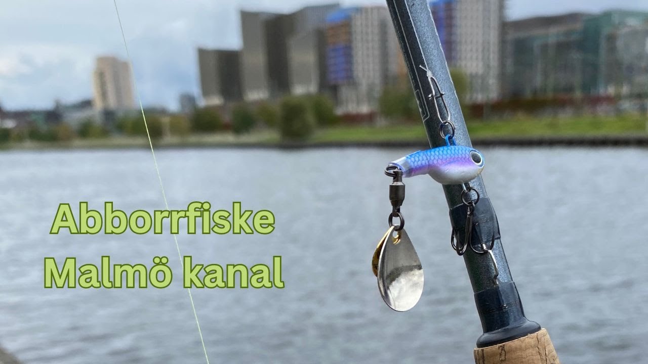 Kort abborrfiske i Malmö kanal - höstfiske med spintails