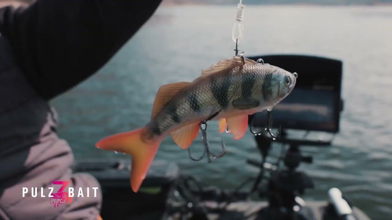 How to - Vertical Fishing