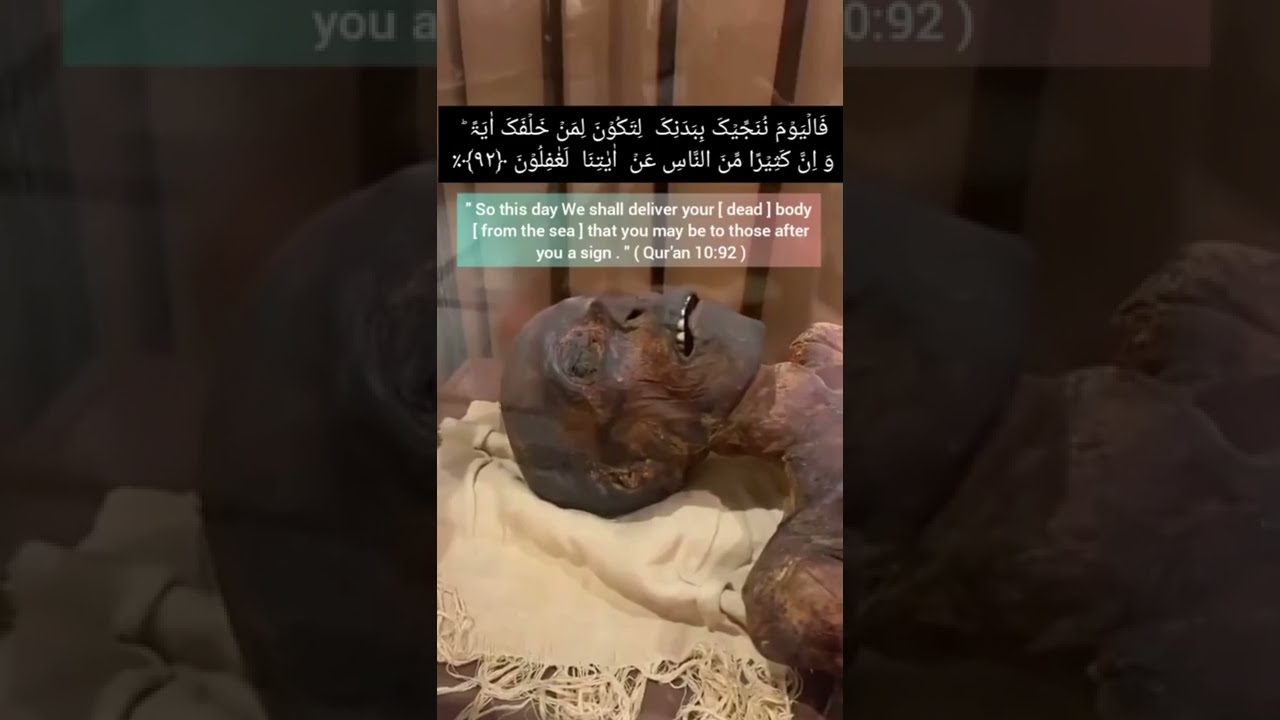 Pharaoh Mummy in Egypt | Firaun Mummy In Museum|Subscribe For More|Islamicquotes | #Islamicquotes
