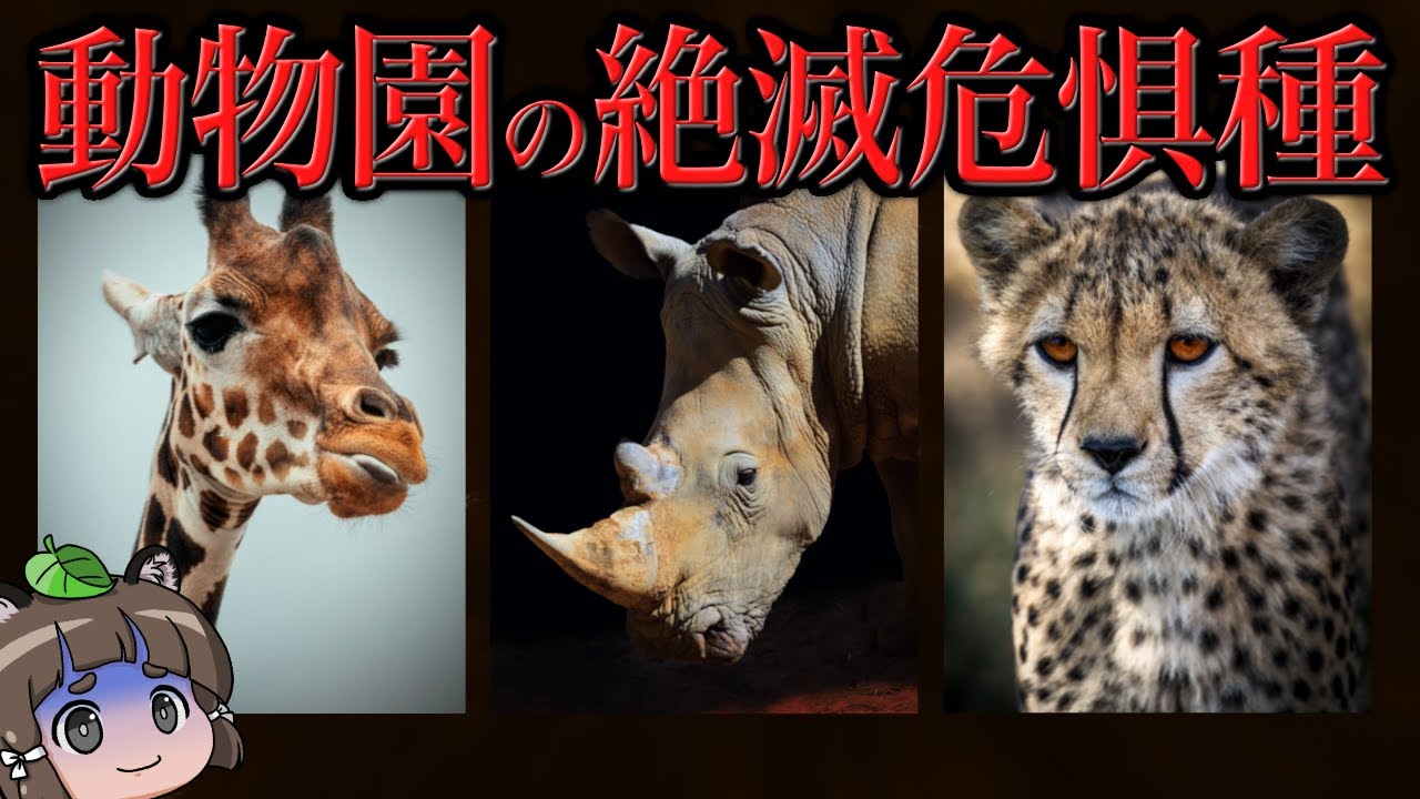 実は知られてない&hellip;動物園で会える絶滅危惧種6選