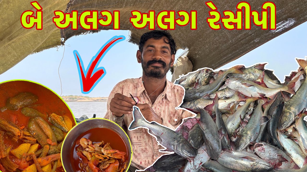 આજે તો નૂકસાન થયું 🥹અને કાંટિયા ખાંગી પકડી🐋