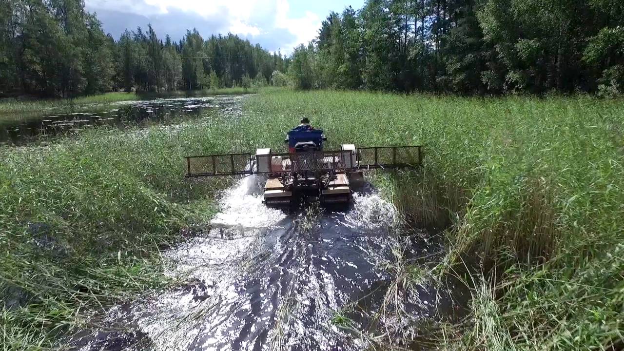 Vesikasvien niitto