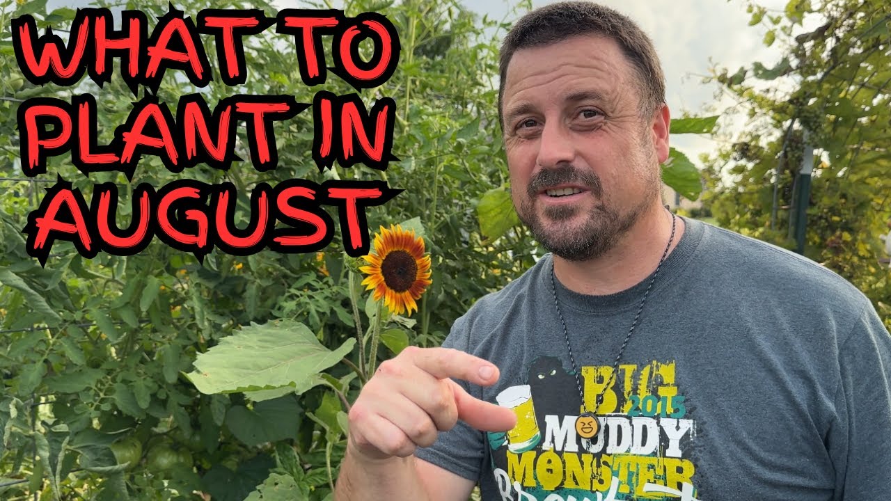 What To Plant  In The Heat of August in Zone 6b