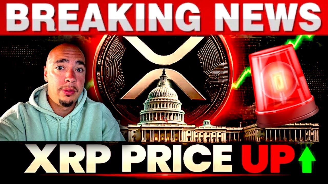 Внимание, крупный игрок на XRP! Накоплено 2,2 миллиарда долларов! Что произойдет при цене в 1,60 ...