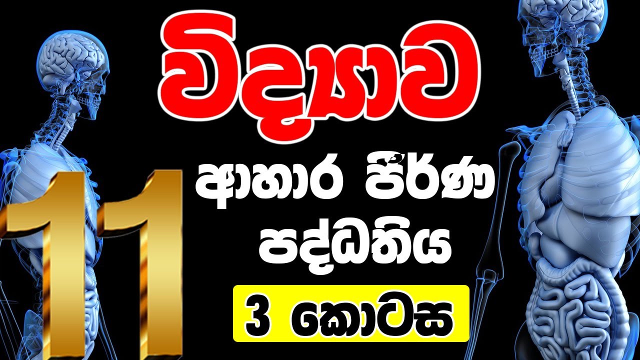 11 ශ්‍රේණිය විද්‍යාව |  ආහාර ජීර්ණ පද්ධතිය | 3 කොටස | Human digestive system | O/L Science