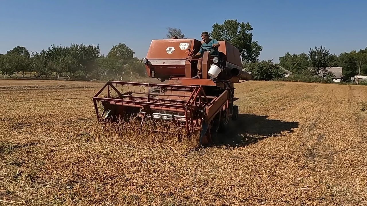 ЖЕСТЬ❗️НЕВРОЖАЙ СОЇ 2025😢 MASSEY FERGUSON 186 ЧУДОВО СПРАВЛЯЄТЬСЯ