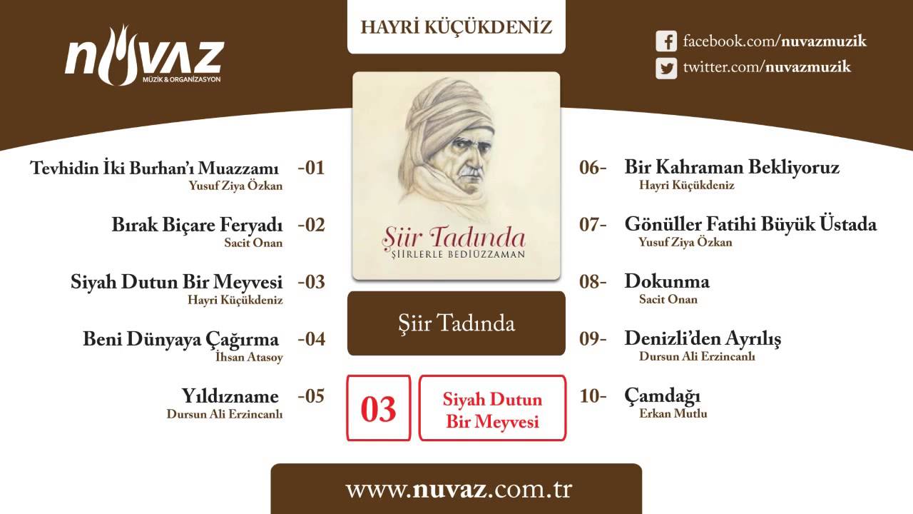 Hayri Küçükdeniz - Siyah Dutun Bir Meyvesi
