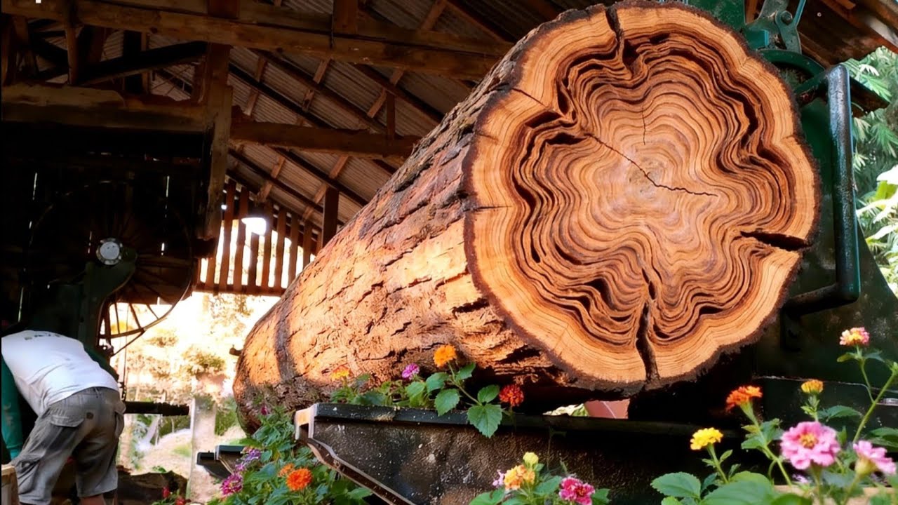 the hardest wood in Indonesia