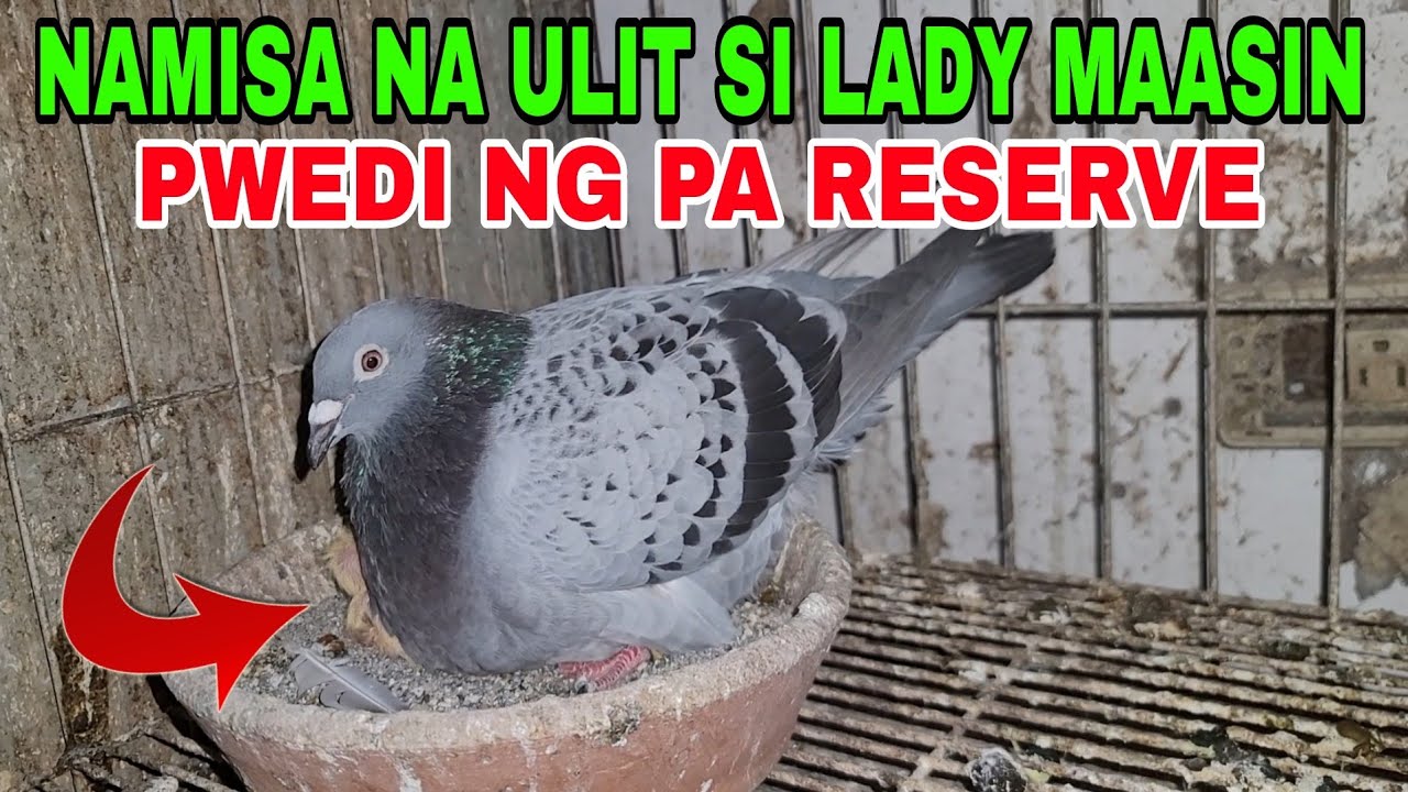 LADY MAASIN NAMISA NA ULIT / PWEDI NG PA RESERVE