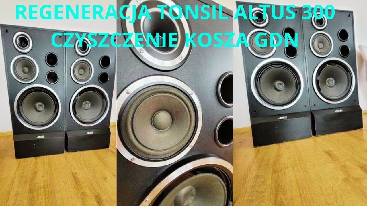 REGENERACJA TONSIL ALTUS 300 CZYSZCZENIA KOSZA GŁOŚNIKA NISKOTONOWEGO GDN 30/100/11