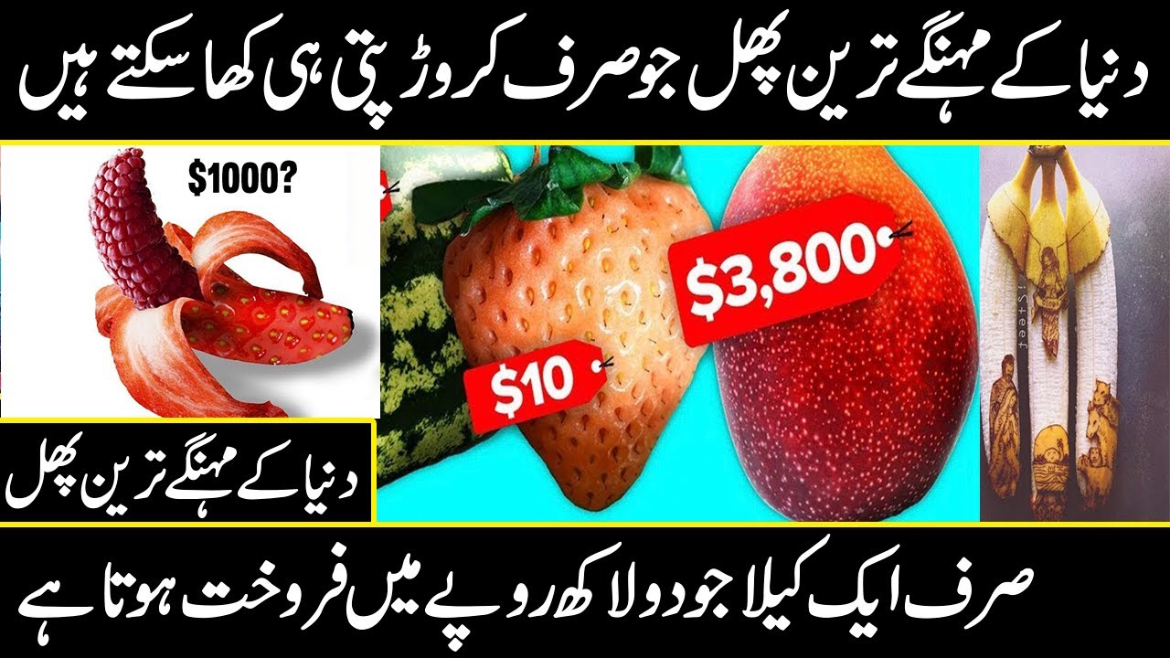 Most Expensive Fruits In The World Urdu Hindi | Urdu cover