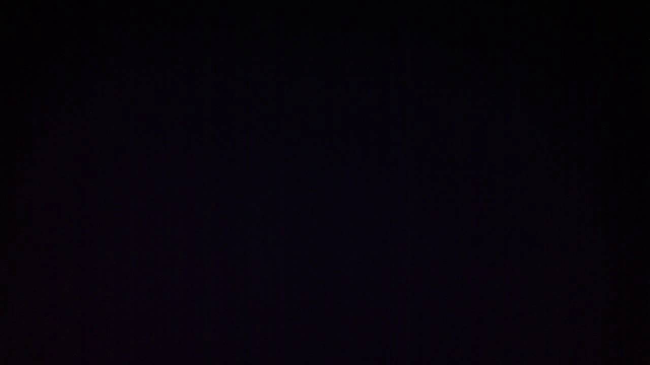 Sounds of the jungle - the Amazon jungle at night
