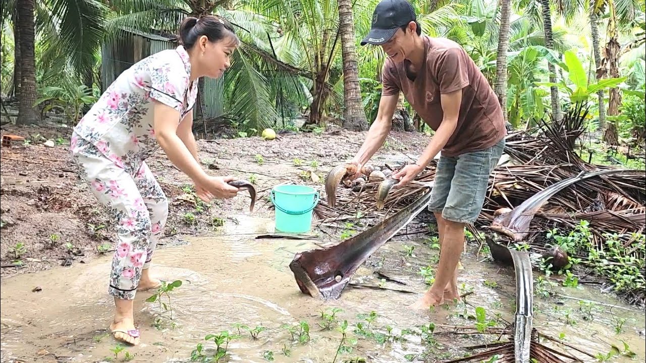 Quá Bất Ngờ Sau Cơn Mưa Lớn Cá Rô Mề Lên Bờ Hốt Đã Tay | BQCM & Family T764