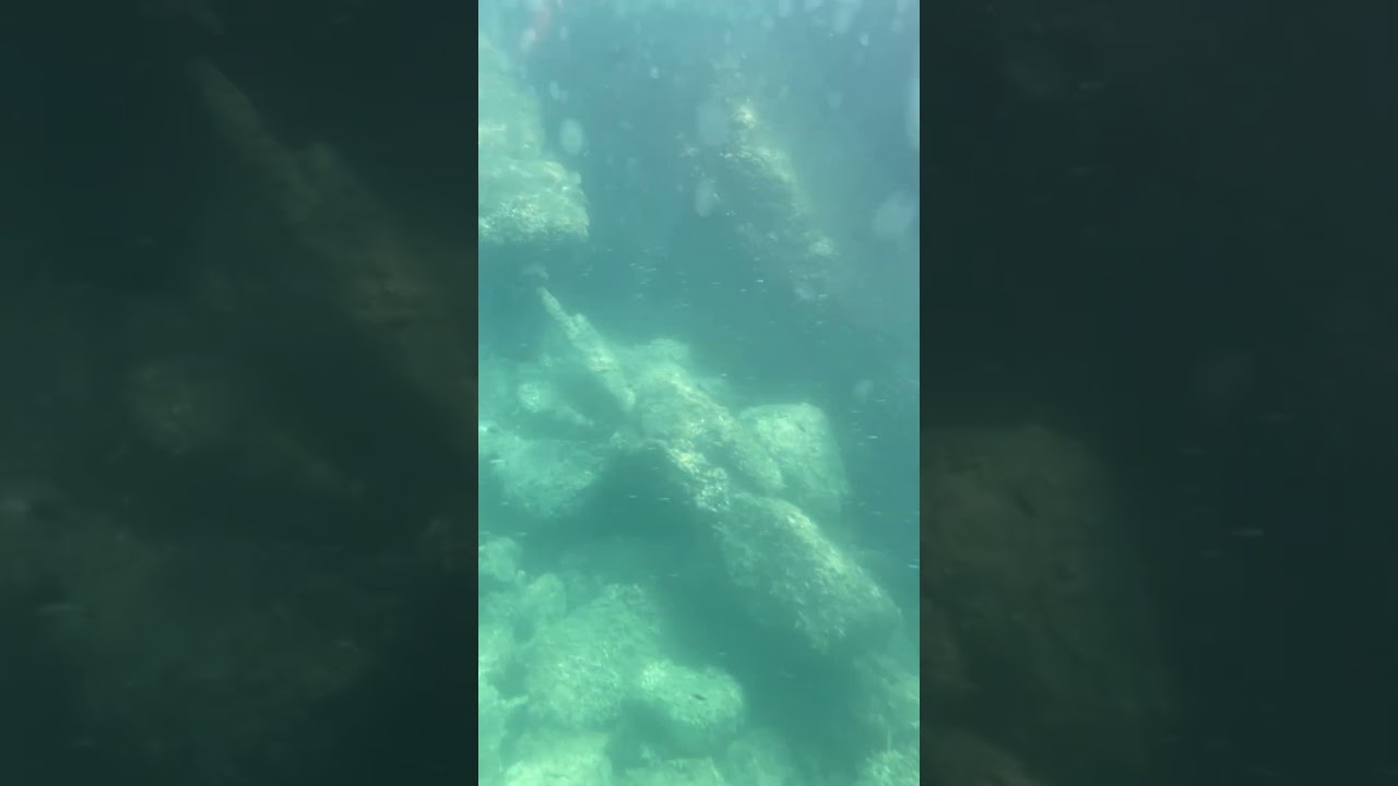 Onderzeeër in Rovinj, invasie van kwallen.