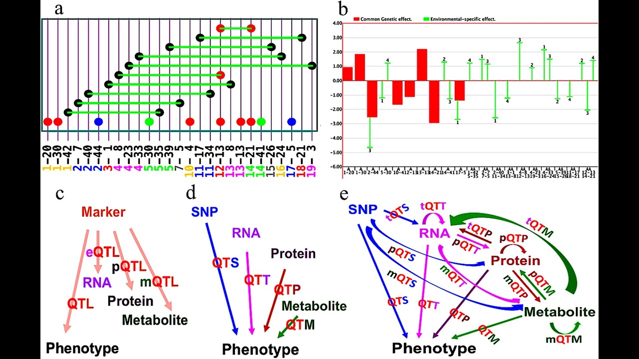 Genotype-Environment Analysis by mixed-effect models- Randomized Block design (RCBD) in r