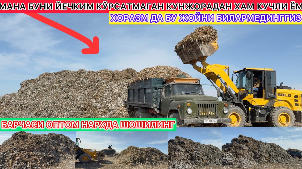 МАНА БУНИ ЙЕЧКИМ КЎРСАТМАГАН КУНЖОРАДАН ХАМ КУЧЛИ ЁМ ХОРАЗМ ДА БУ ЖОЙНИ БИЛАРМЕДИНГГИЗ 2026 г