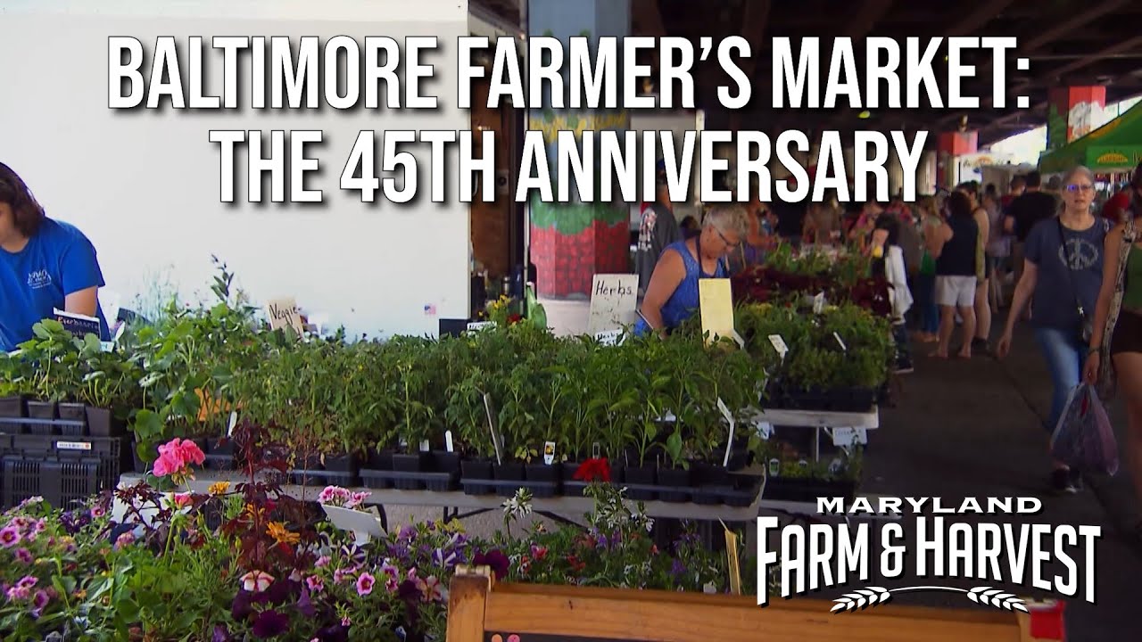 Baltimore Farmer’s Market: the 45th Anniversary