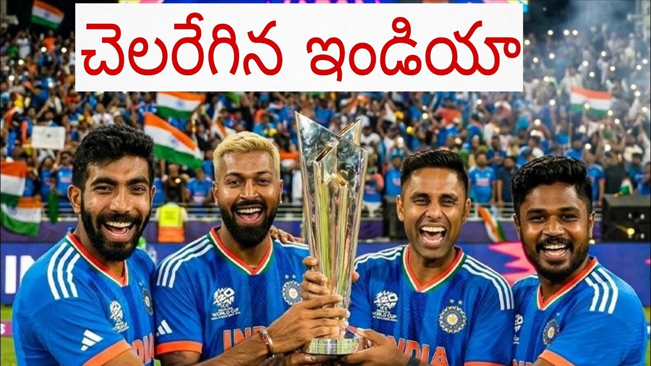 India VS New Zealand T20 final Match Highlights 