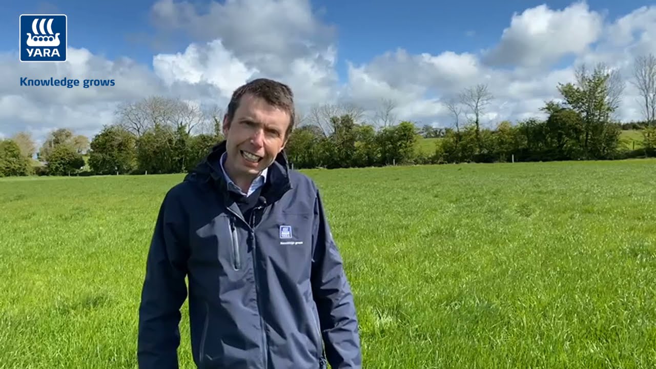 Second cut silage fertiliser recommendations