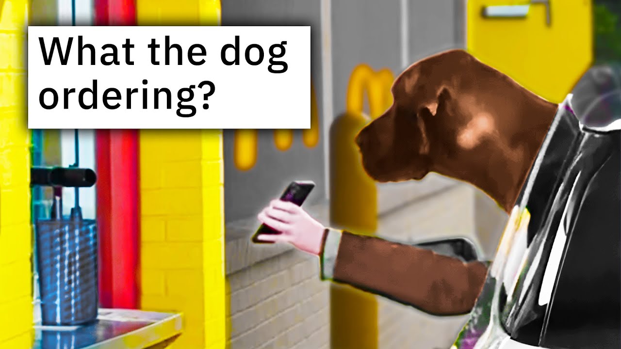 r/Confusing_Perspective | what the dog ordering?