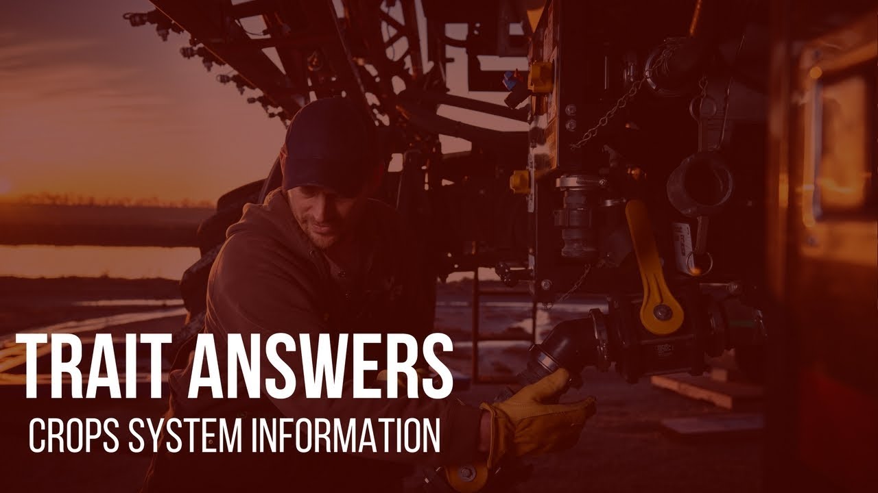How to make trait decisions on my farm? | Trait Answers