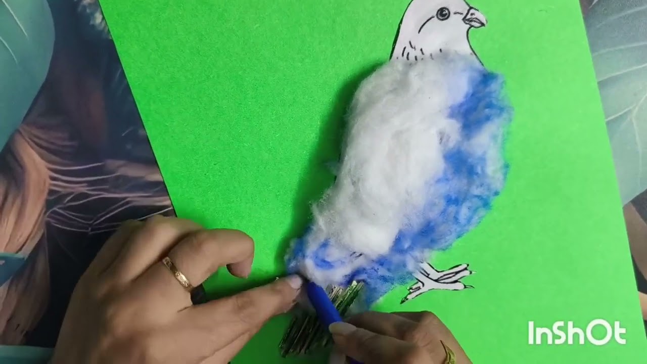 Nicobar Pigeon 3D Craft for School Project | Easy & Simple 