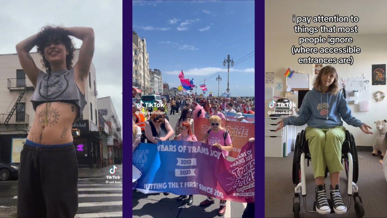 tiktoks collected just for you in particular (trans, alt fashion, disability etc)