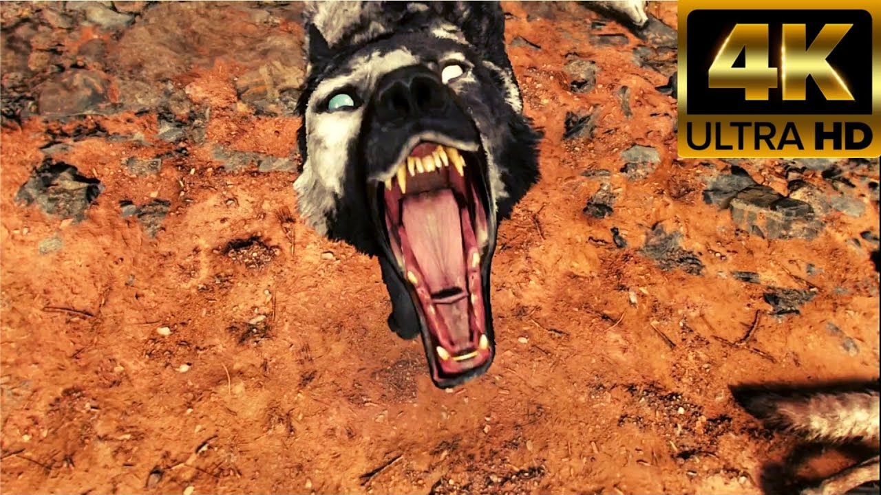 Far Cry 6 All Animals Attack & Bite Animations