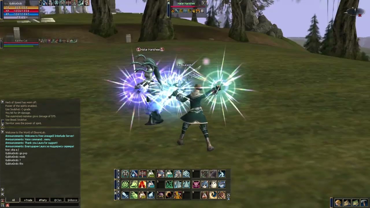 Lineage 2 Warlock solo Exp - The Cemetery